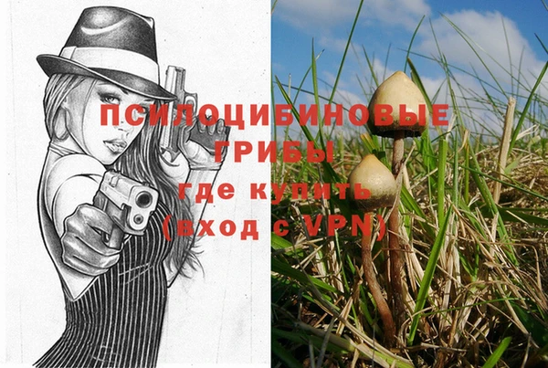 ешки Богородицк