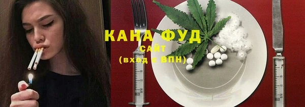 молекула духа Богданович
