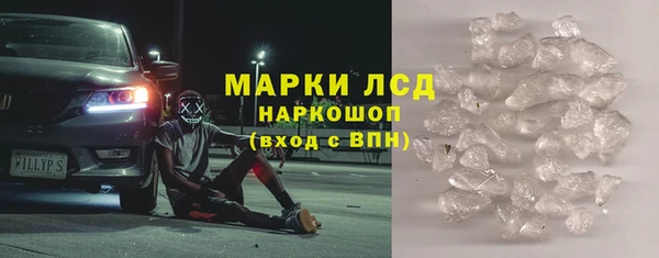 молекула духа Богданович