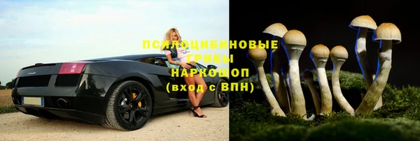 молекула духа Богданович