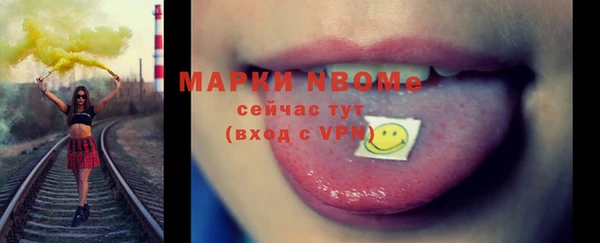 молекула духа Богданович