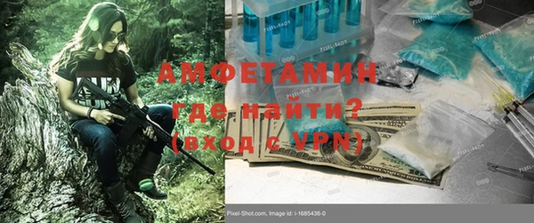 молекула духа Богданович