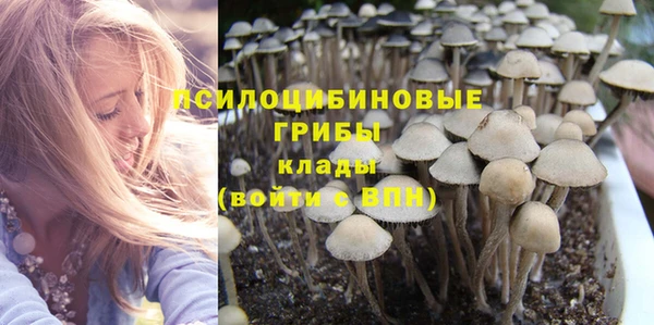 молекула духа Богданович