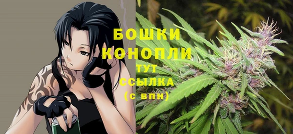 молекула духа Богданович