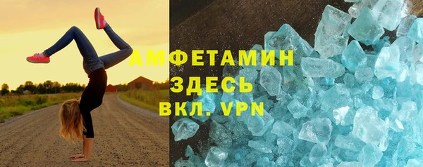 молекула духа Богданович