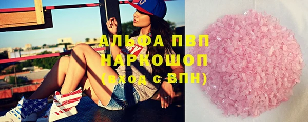 молекула духа Богданович