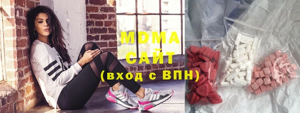 молекула духа Богданович