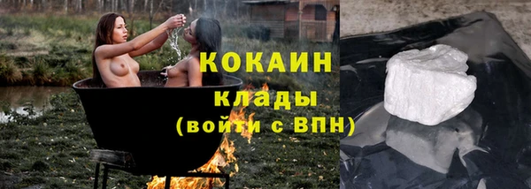 молекула духа Богданович