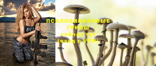 молекула духа Богданович